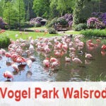 Vogel Park Walsrode
